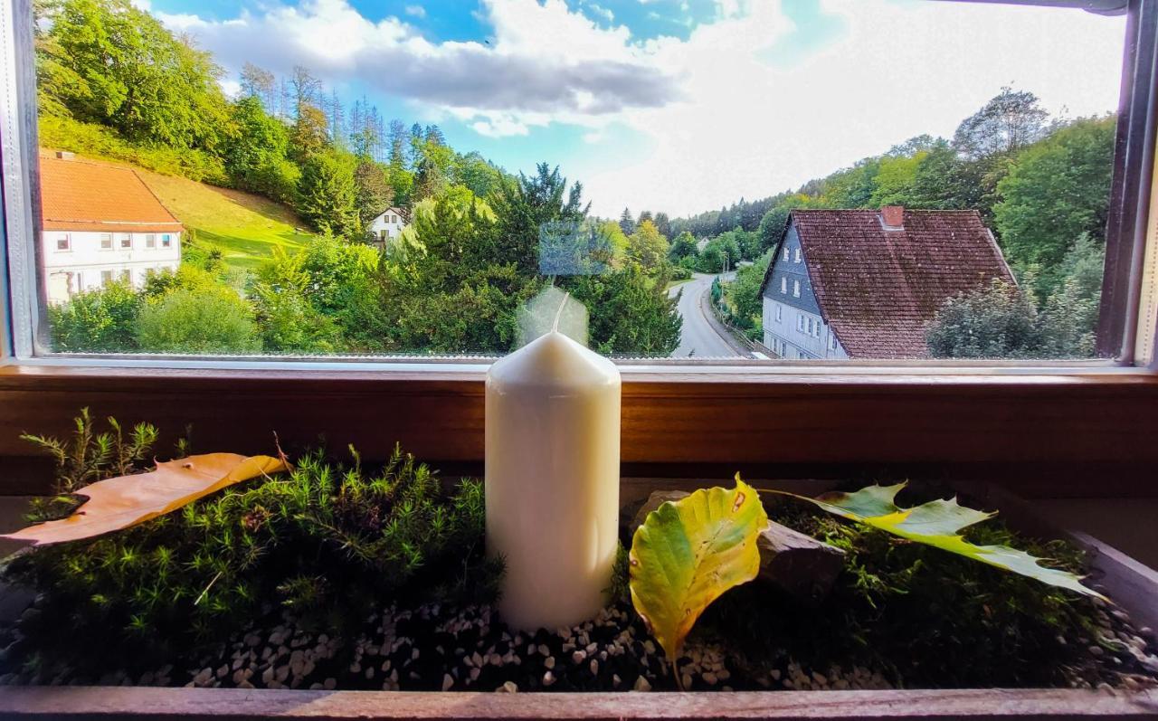 Gemuetliche Ferienwohnung Im Harz บาดกรุนด์ ภายนอก รูปภาพ