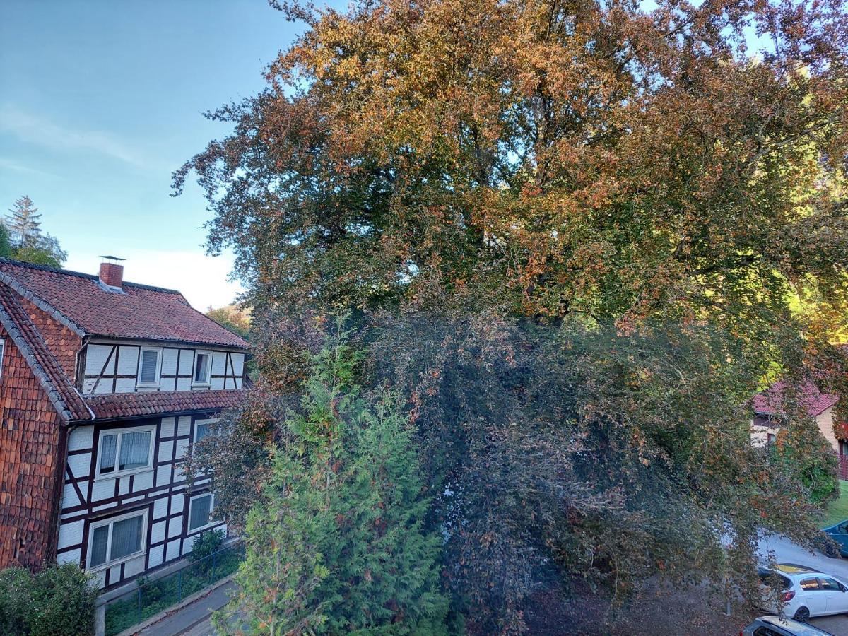 Gemuetliche Ferienwohnung Im Harz บาดกรุนด์ ภายนอก รูปภาพ